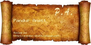 Pandur Anett névjegykártya