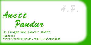 anett pandur business card